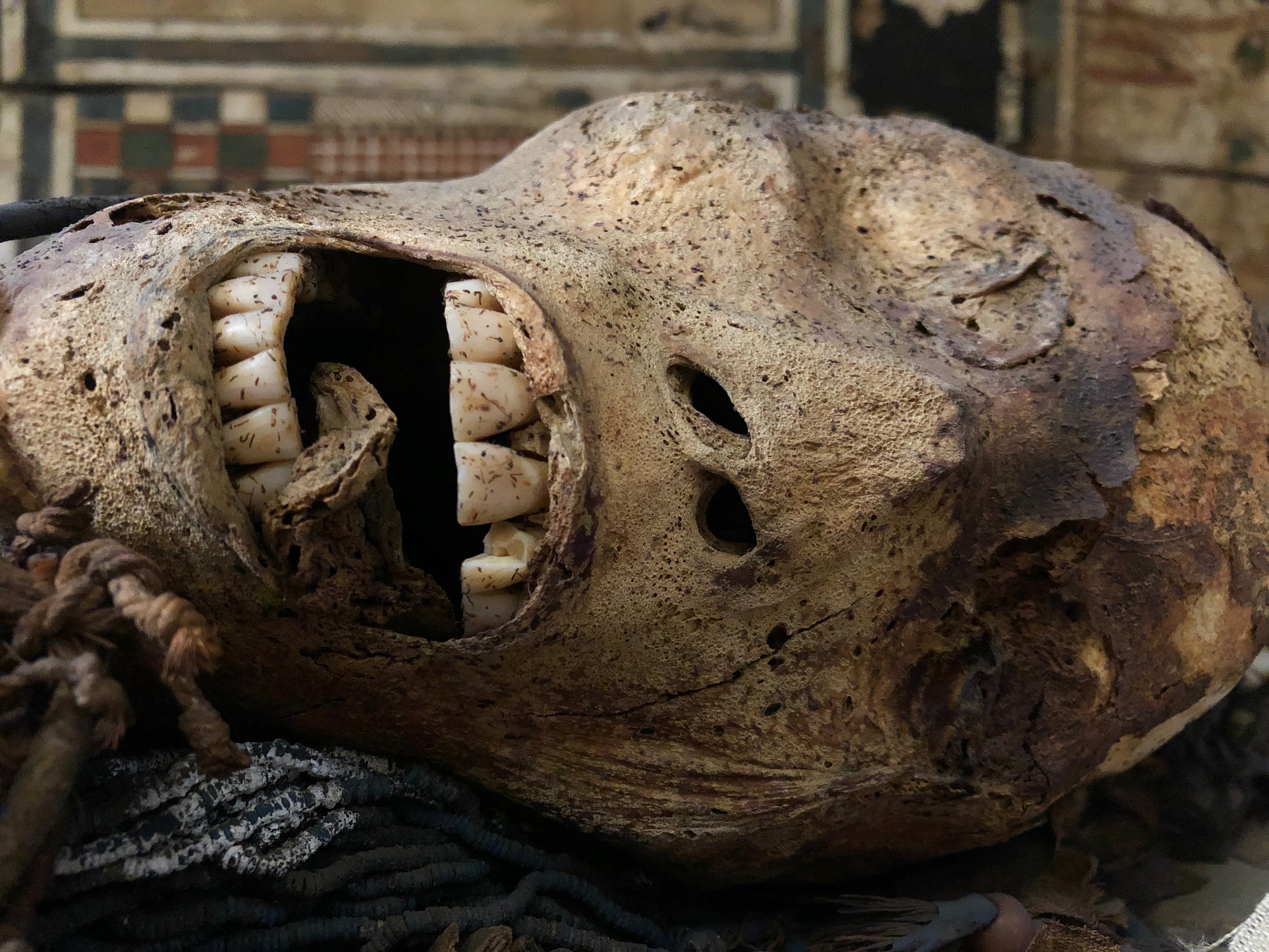 Mummy at the Egyptian Museum in Cairo