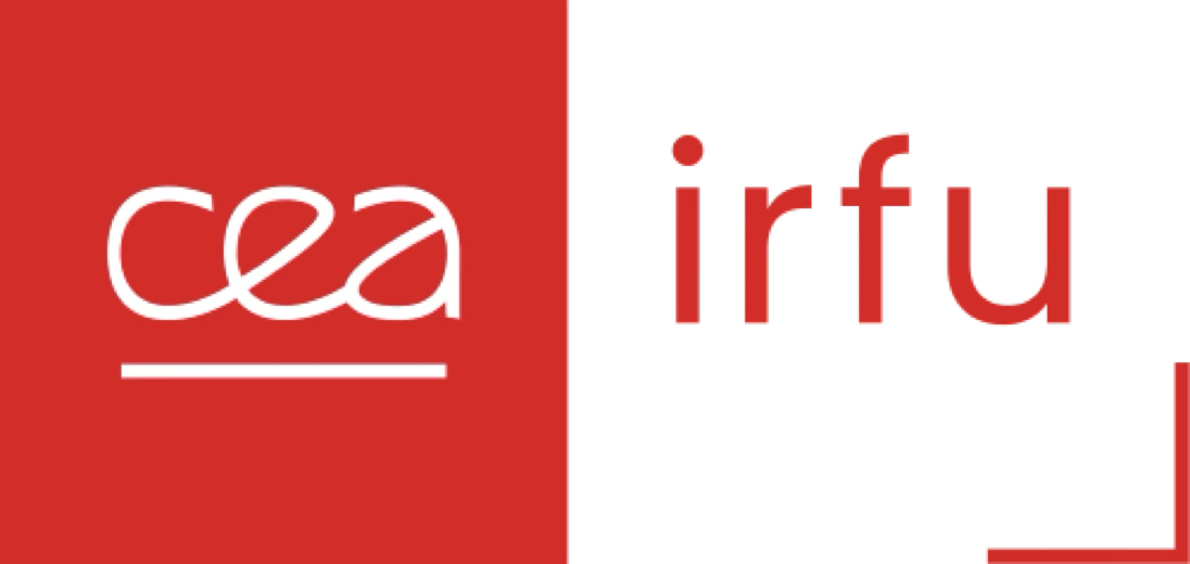 CEA IRFU